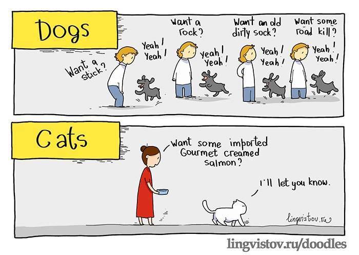 Tierradanimales's tweet photo. #PerroOGato. Cuál prefieres? Presume a tu mejor amigo, sube su foto https://t.co/m0CR9waLLw