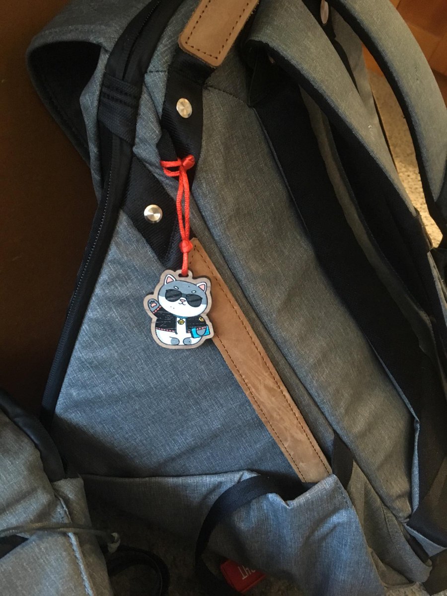 Massive shout-out to <a href="/debbiefongdraws/">Debbie Fong 🎏</a> for making my partner and I's <a href="/missionworkshop/">Mission Workshop</a> and <a href="/peakdesignltd/">Peak Design</a> bags the cutest♥️✨