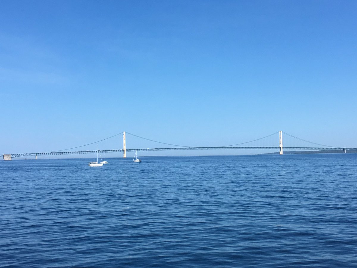 Colleen Feeny tweet media