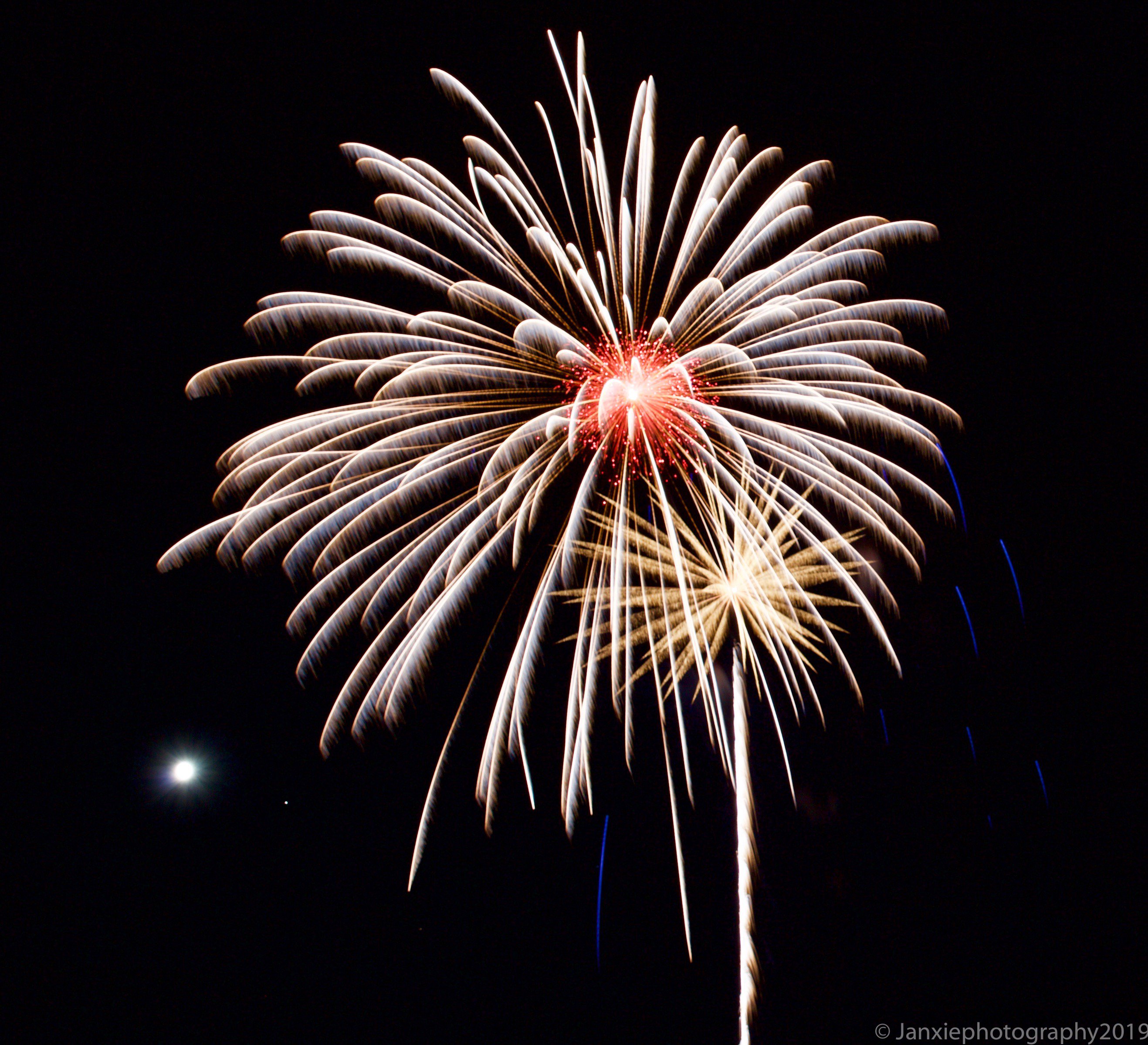 Jan Xie (@TheJanXie) / Twitter