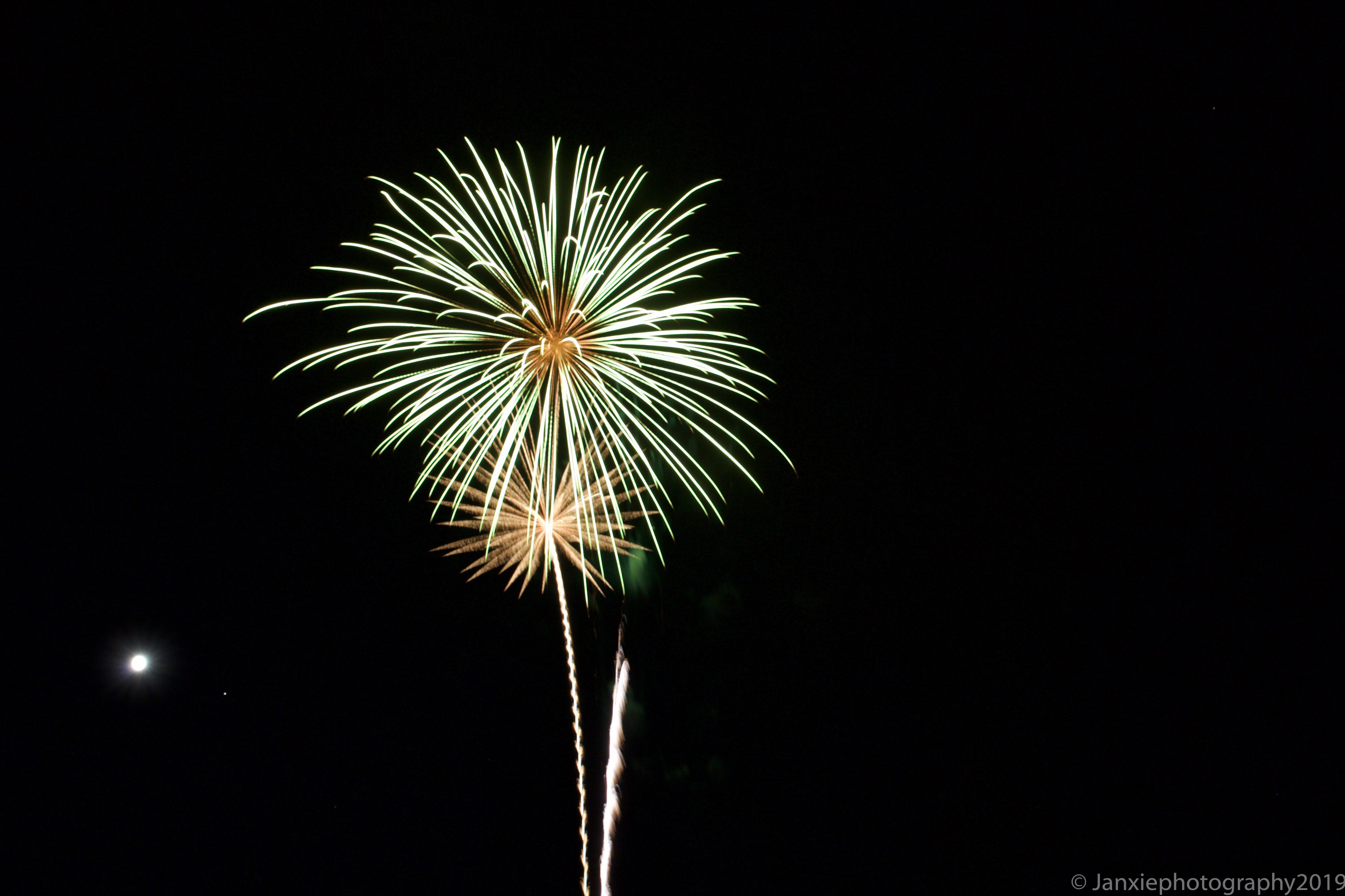 Jan Xie (@TheJanXie) / Twitter