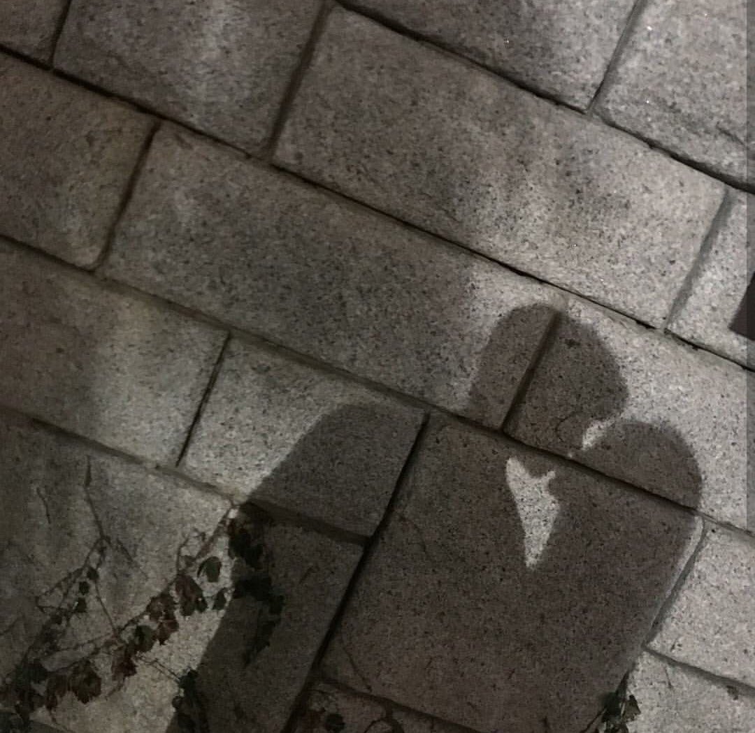 __a_512's tweet photo. @il 7/18
8month 🦖♡🦇 https://t.co/p56FfvjQtW