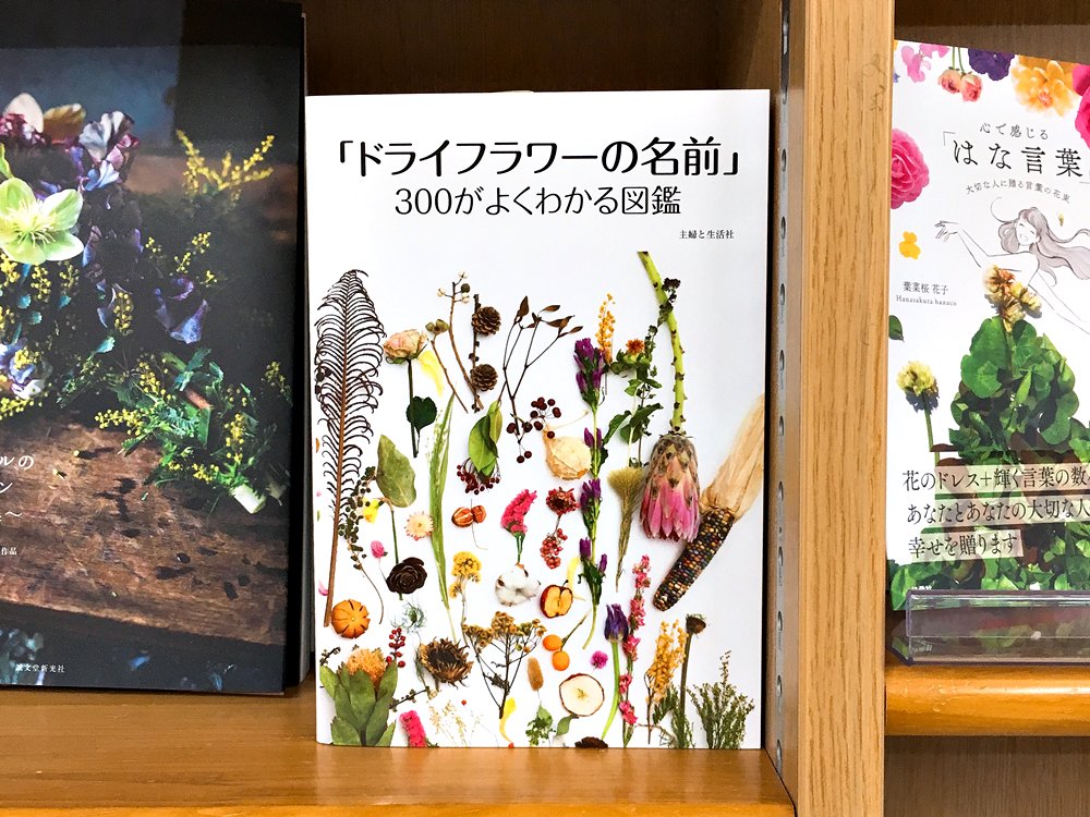 丸善ジュンク堂書店劇場 Sur Twitter 気になる本 ドライフラワーの名前 300がよくわかる図鑑 T Co Fcy7r6sk6p ドライフラワー300種の名前 花もしくは全体の色 入手先 花の時期 ドライフラワーにする方法 退色の スピード おすすめのクラフト