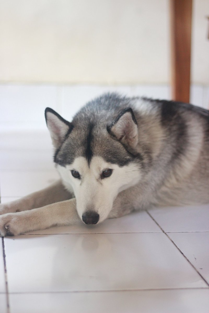 and make sure you meet this girl during your visit! her name is Olive! See you soon!