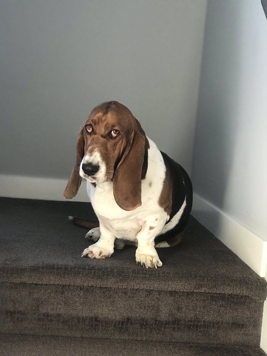 Eric Bell tweet media