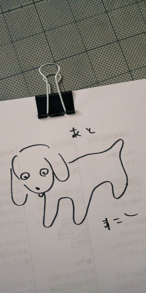 今日の犬です 