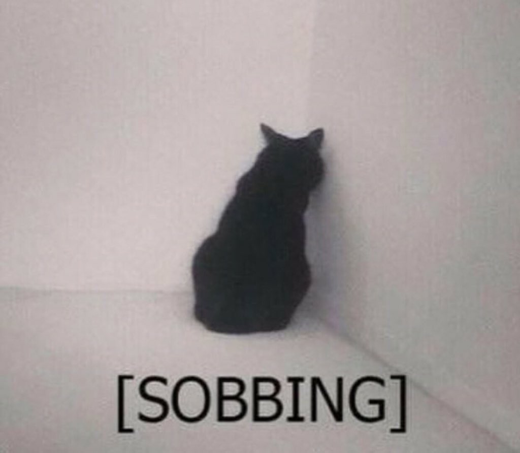 ℂ𝕖𝕣𝕓𝕖𝕣𝕦𝕤 (@shewhoguards) on Twitter photo 