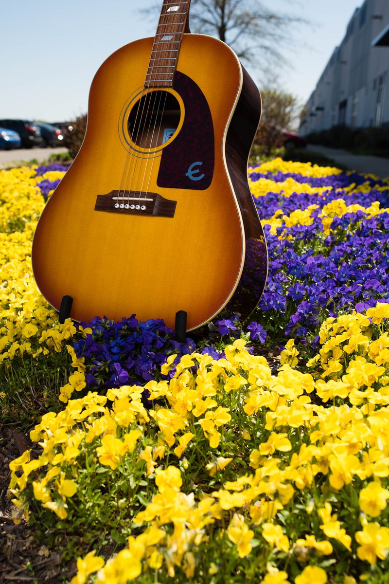 Epiphone's tweet photo. Summer Lovin’ #epiphone https://t.co/kWksiUOGON