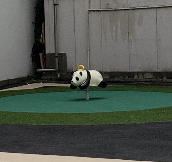 なんでこんなところに？街角のパンダ公園が奇妙！