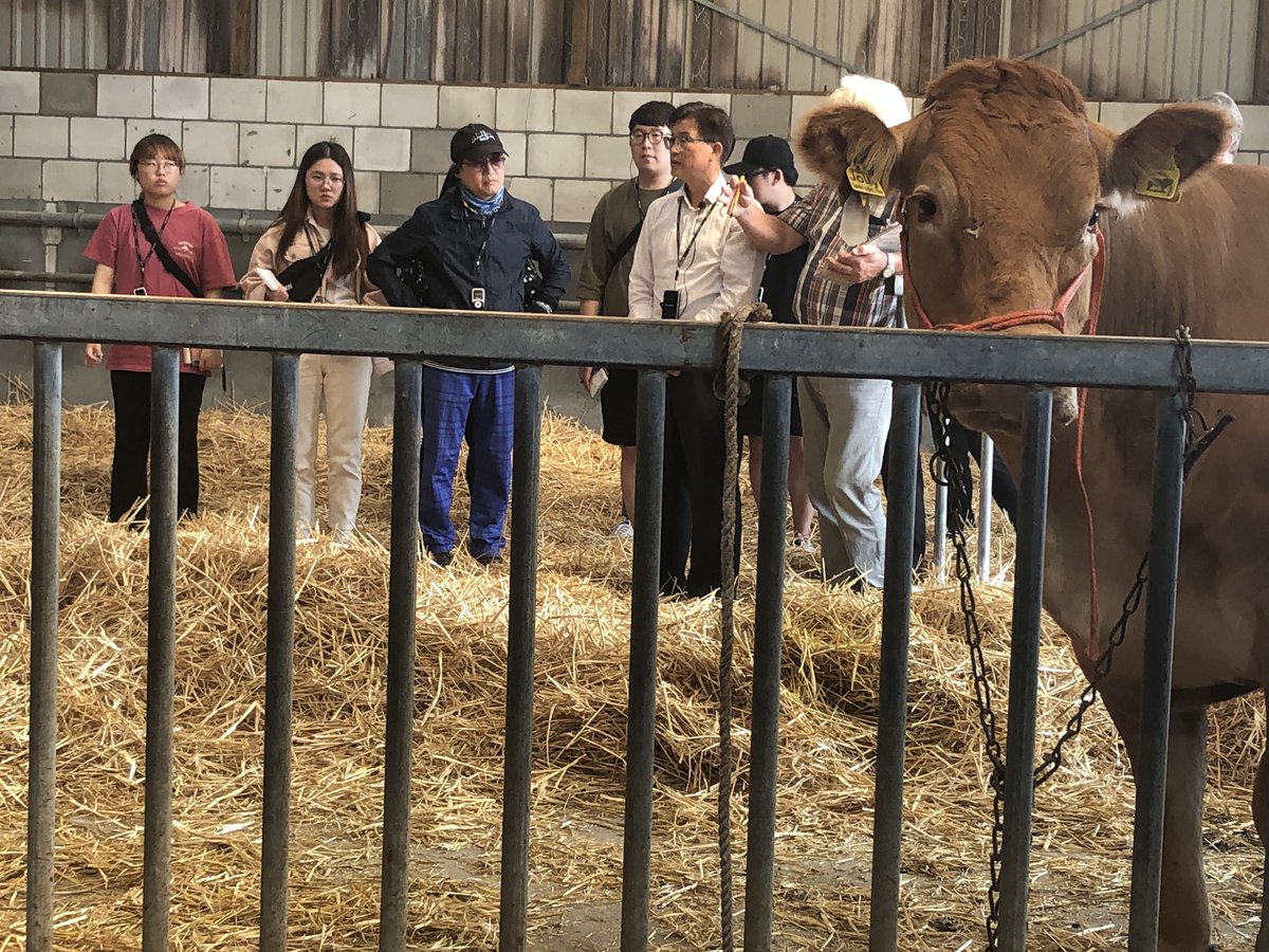 LimousinVlees's tweet photo. Visitors on the farm from Korea University https://t.co/2D0S6KdonY