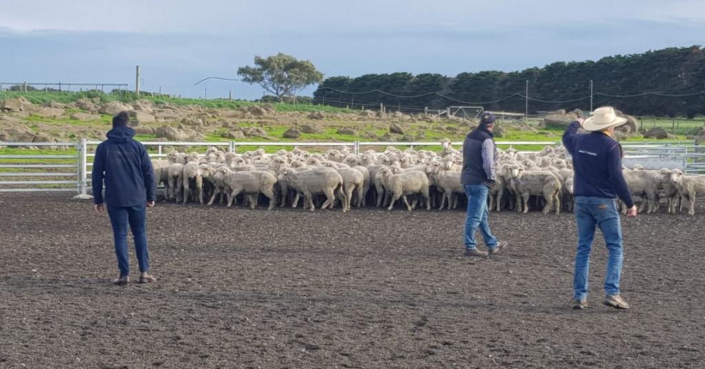 Last week, Farm Table's founder, Airlie, was honoured to be sponsored by Marcus Oldham College to attend the 2019 Rural Leadership Program. It was a jam packed week of activities, presentations and workshops from Sunday through to Friday. farmtable.com.au/2019-marcus-ol… @marcusoldham1