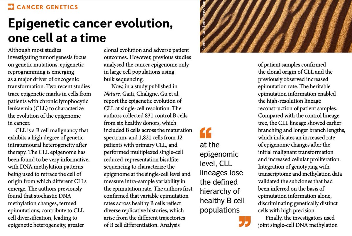 khanaziz84's tweet photo. These two studies trace the evolution of #epigenome in #cancer at single-cell resolution and confirm that #CLL lineages lose the defined hierarchy of healthy B cell populations at epigenomic level #epimutation
https://t.co/9ZLifQgZTa
https://t.co/0ih46rJ1wo https://t.co/Ie5yG9778H