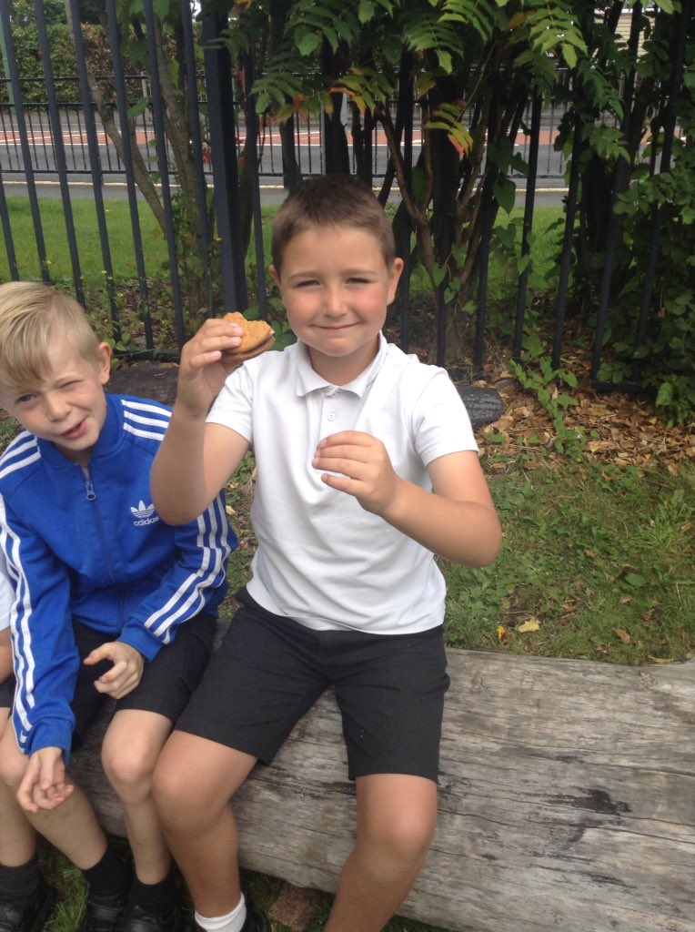 Burnopfield_sch's tweet photo. 🌳🍃If you go down to the woods today... you'll find Miss Alsop's class toasting marshmallows! 😆#transitionmorning https://t.co/leK4SEHI09