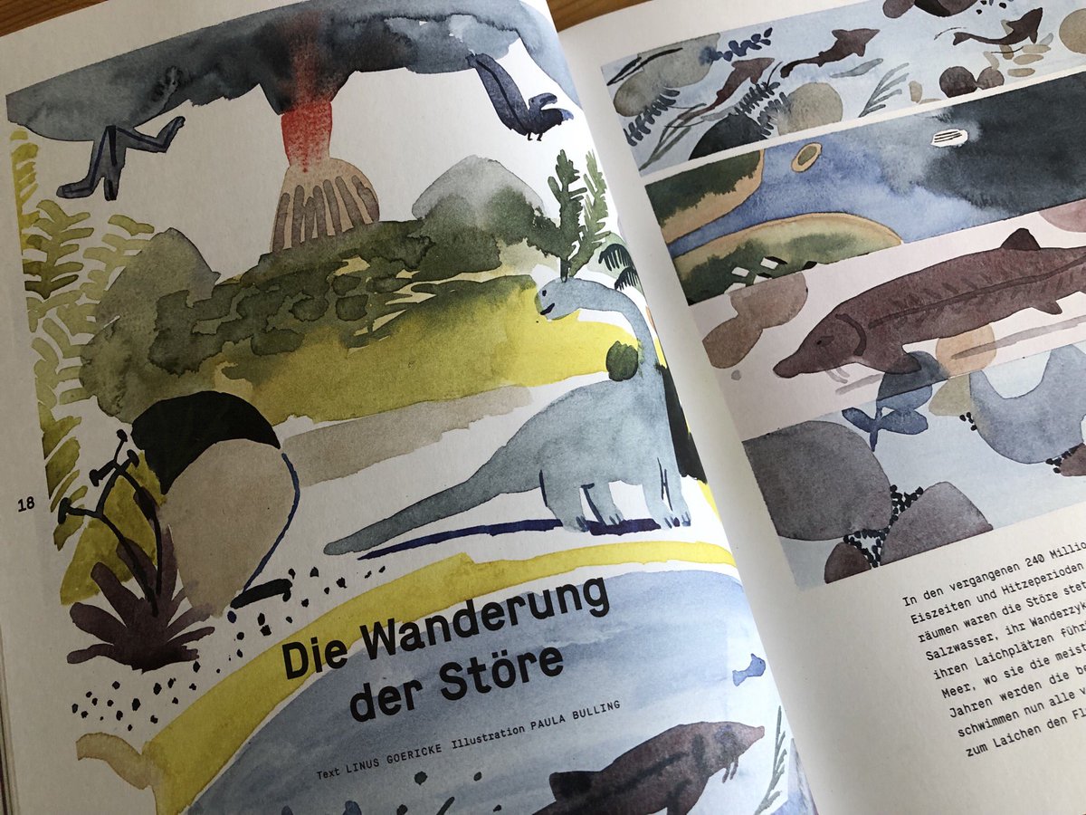 Ein farbenfroher Start in den Tag: Danke ans <a href="/LeibnizWGL/">Leibniz-Gemeinschaft</a>-Team für unsere Geschichte zur #Wiederansiedlung des #Stör|s im aktuellen #leibniz Magazin! Übrigens nicht nur heute im Briefkasten, sondern natürlich auch online: leibniz-gemeinschaft.de/fileadmin/user…