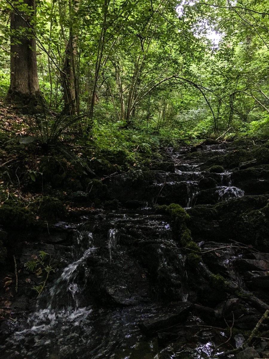 [Randos Bière en Belgique]
En prendre plein la vue à Falmignoul, en Province de Namur chez <a href="/tourismedinant/">Explore Meuse</a>, pendant 11km 🥾
Points de vue, sentiers ombragés et cascatelles ... sans oublier un beau passage en bord de Meuse pour profiter de la #WallonieTerredEau 💦
#Wallonie 🇧🇪