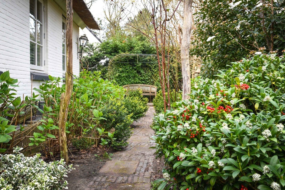 #longread “Ja, het zet zoden aan de dijk als je jouw piepkleine tuintje vergroent. Het is een schokkend feit, maar de biodiversiteit van insecten is in Nederlandse steden inmiddels hoger dan in de intensieve landbouwgebieden.” bit.ly/30C0LmD <a href="/LEMVet/">Louise Vet</a> <a href="/vrij_nederland/">Vrij Nederland</a>