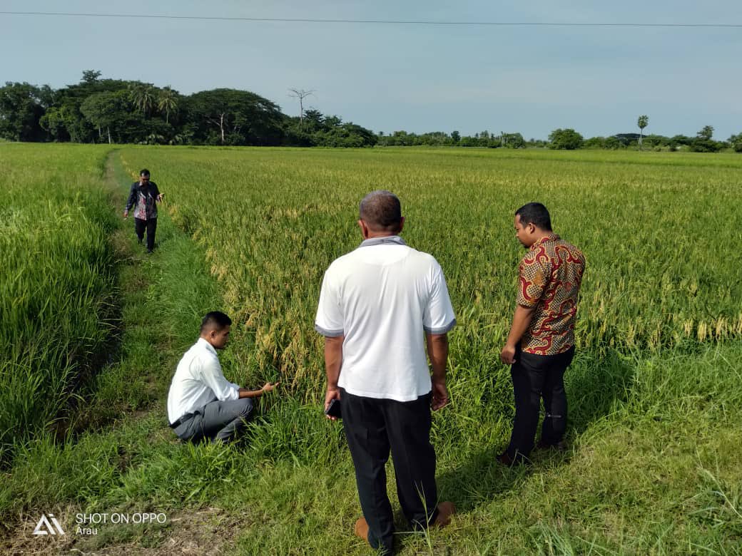 mada_malaysia's tweet photo. Aktiviti gotong-royong di kawasan tali air LBLBD 3, PPK D2, Tunjang

#madamabeles
#OurFoodOurFuture https://t.co/UkH4OkWcAo