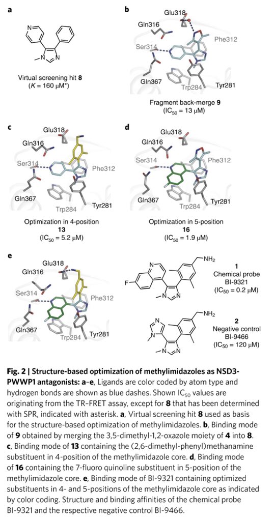 HartungIngo's tweet photo. Fragment screening is so powerful to conquer new targets: see #PWWP probe BI9321 @Boehringer @thesgconline: iterative X-Ray driven design cycles & not-off-the-shelf assays to deeply characterize a probe @D_B_McConnell @nchembio @chembiohub @CherylArrowsmi1 https://t.co/Olva2YkEEt https://t.co/lz6u6fBzTN