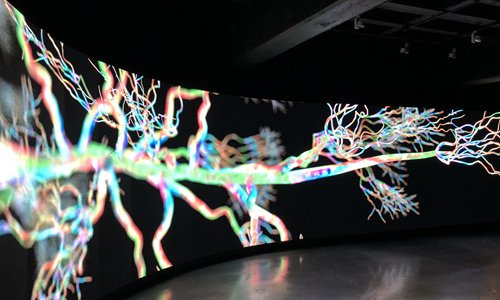 GlobalTimesLife's tweet image. A new #exhibition, Lying Sophia &amp;amp; Mocking Alexa at Beijing’s 798 Art District has captured visitors&apos; attention with exhibits inspired by the latest #AI (artificial intelligence) technology. #RealSophiaRobot #Alexa #Amazon globaltimes.cn/content/115817…