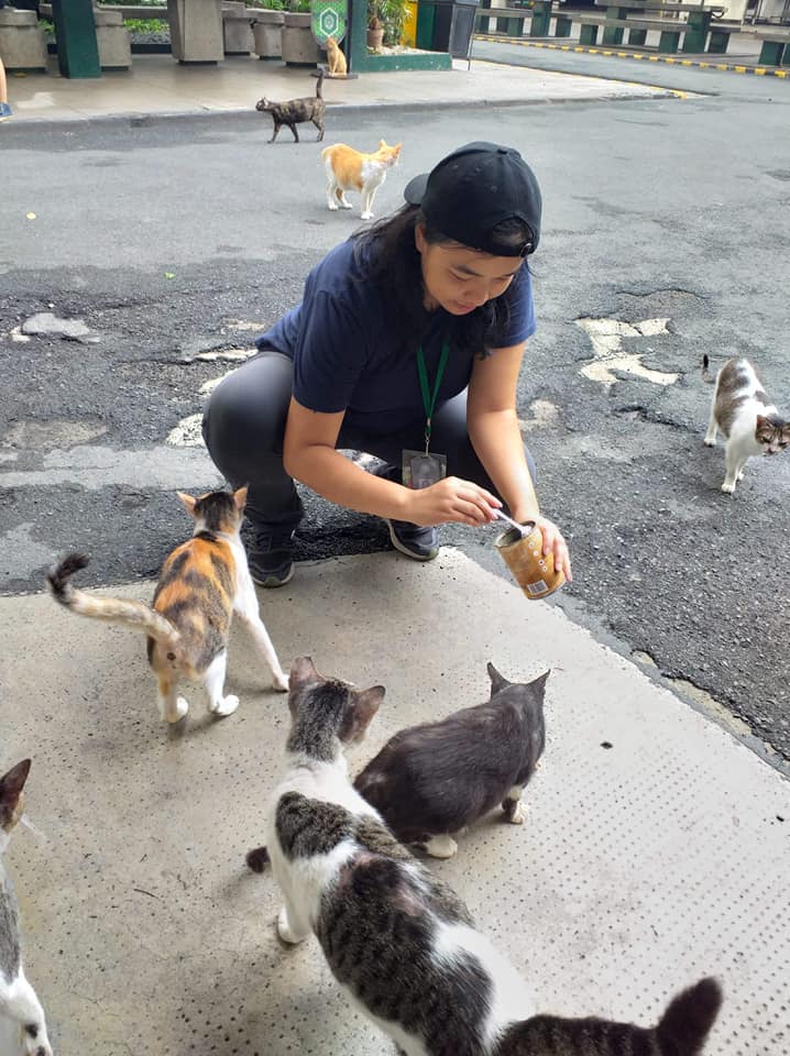 RobertTayag's tweet photo. Salute to all of you guys 😊
@KissesDelavin #Kissesdelavin
#Catfeeding
#DSLU https://t.co/eeXUd8Z2Hq