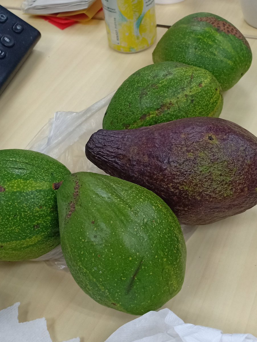 chrmeynsuprnova's tweet photo. #HowToWinMyHeart

Avocadoooooo! 😅 https://t.co/B6maCo8aTV