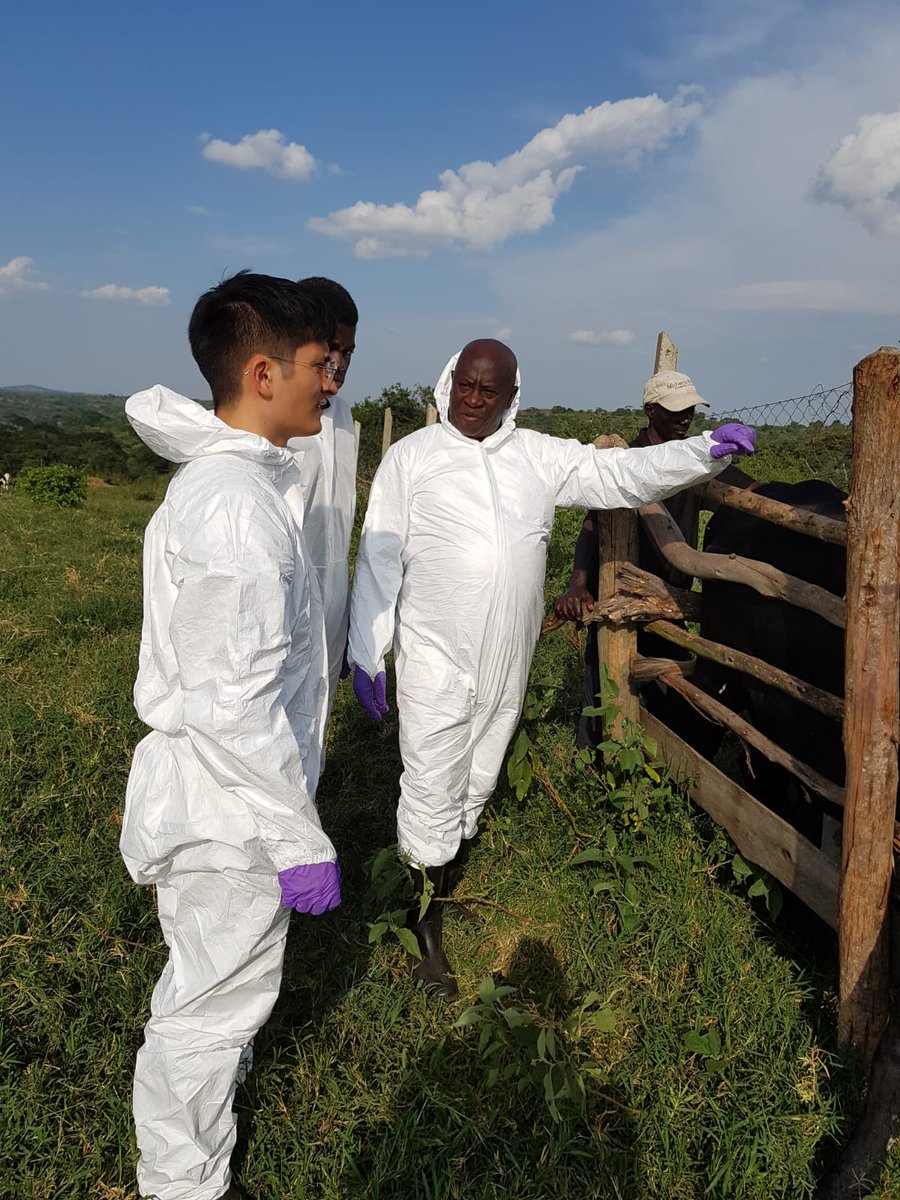 Eufmd's tweet photo. #UTC2 case hunt #FAST disease in Western Uganda for our upcoming realtime course. These trainings are also opportunities for capacity building in hosting countries and knowledge exchange. #fmd @MAAIF_Uganda @FAOUganda @FAOAnimalHealth https://t.co/j3UmMr11a8