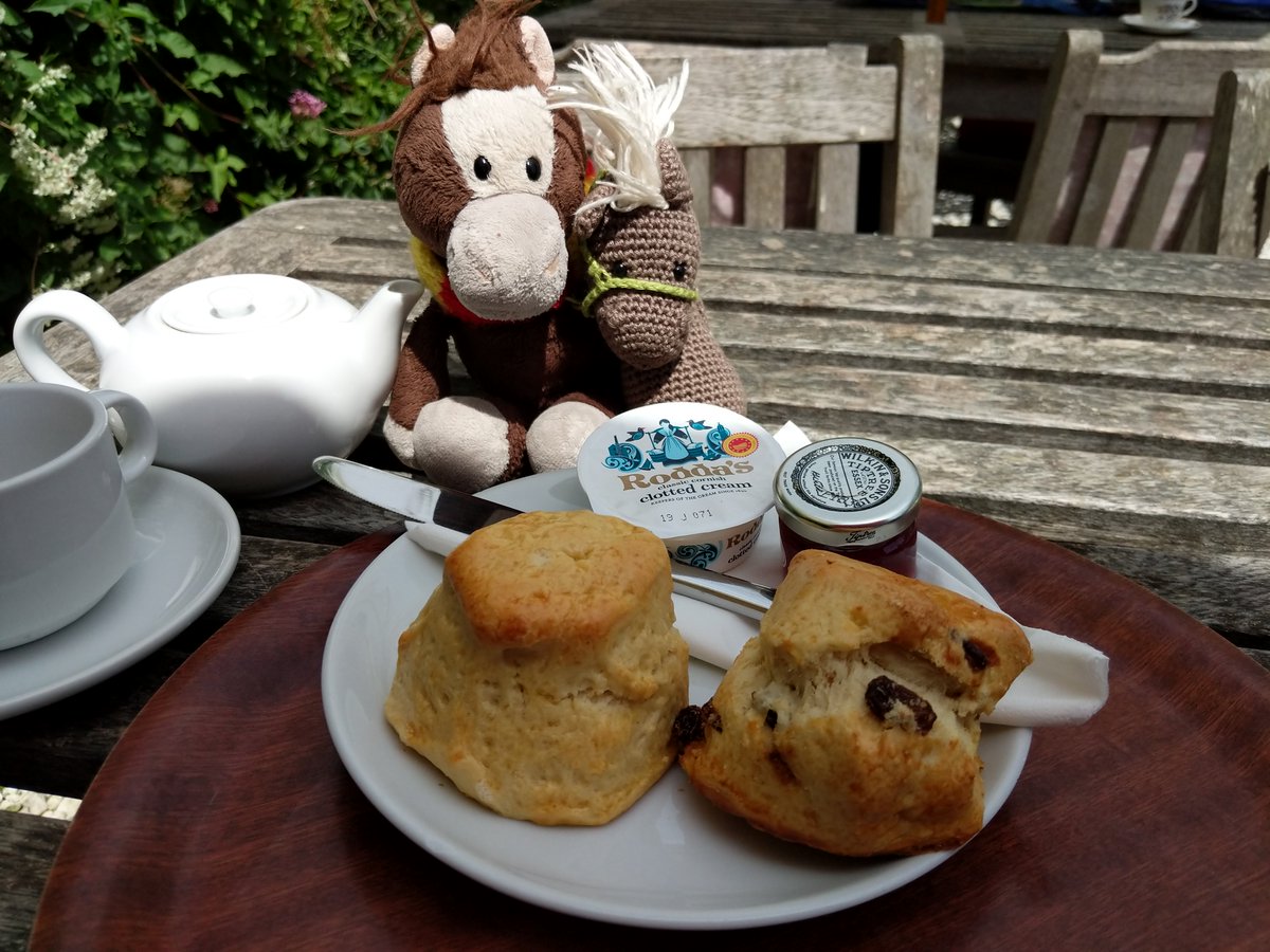 1 of 2 Yesterday, @ReisePferdich and Zuppi went to Lulworth Cove first, and had a cream tea.  The scones were a little disappointing but the sunshine was lovely