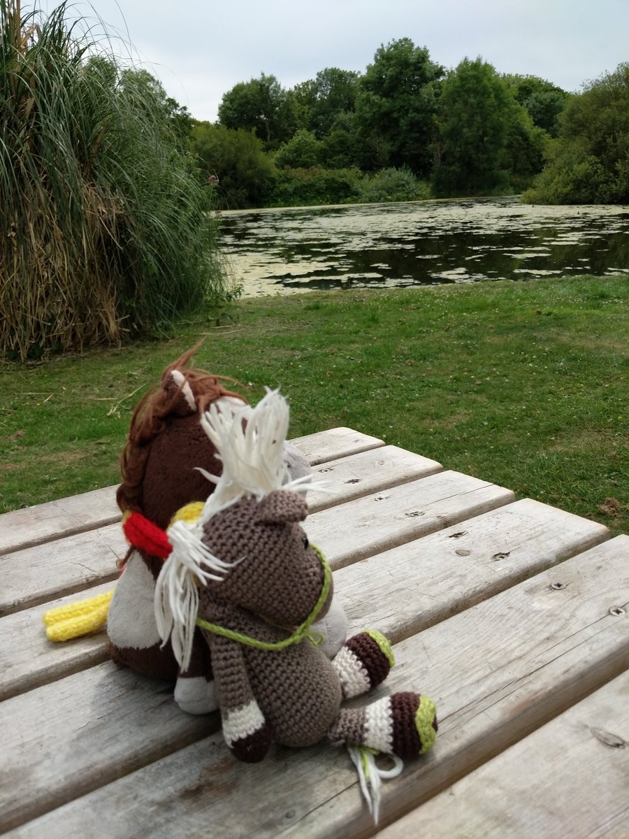 2 0f 2 Yesterday afternoon, @ReisePferdich and Zuppi had a lovely walk around the lake and gardens at Kingston Maurward Gardens.