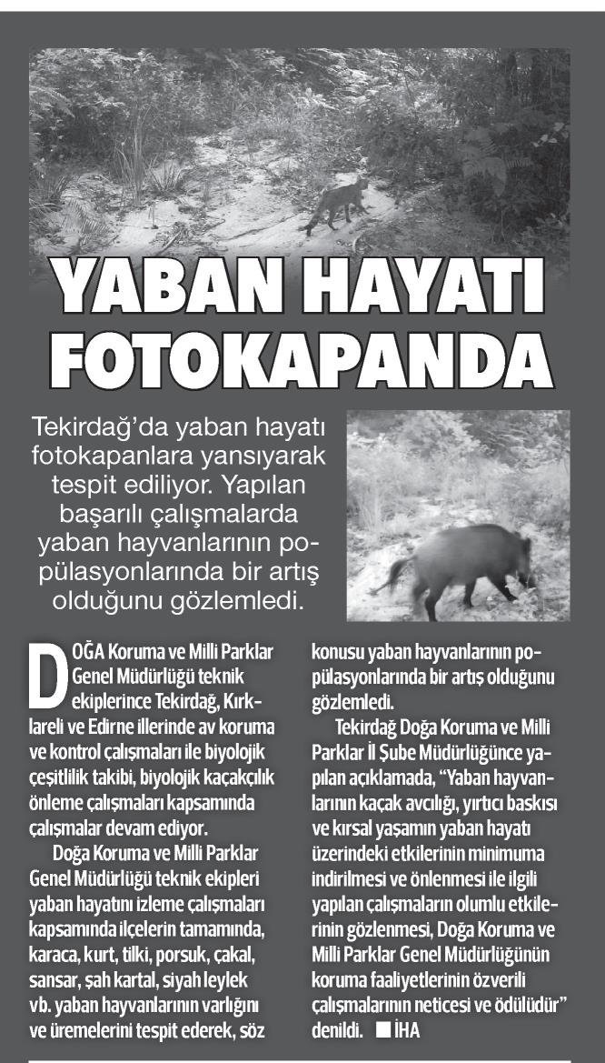 Basında Bölge Müdürlüğümüz:
#DKPM  #yabanHayat #kırklareli #tekirdağ #edirne
