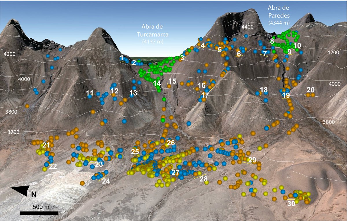 JBiogeography's tweet photo. Lizard communities in the S Bolivian Andes change with habitat features and microclimatic heterogeneity caused by complex topography, with one species confined to cold microclimate refugia with higher exposure to Föhn Effect fogs @OJimenez_Robles
https://t.co/xefVXIUwfZ https://t.co/gxZPygWzyW