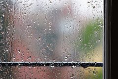 PythonCambridge's tweet image. It’s a rainy day, wouldn’t be a bad day to slither on the lawn next door.