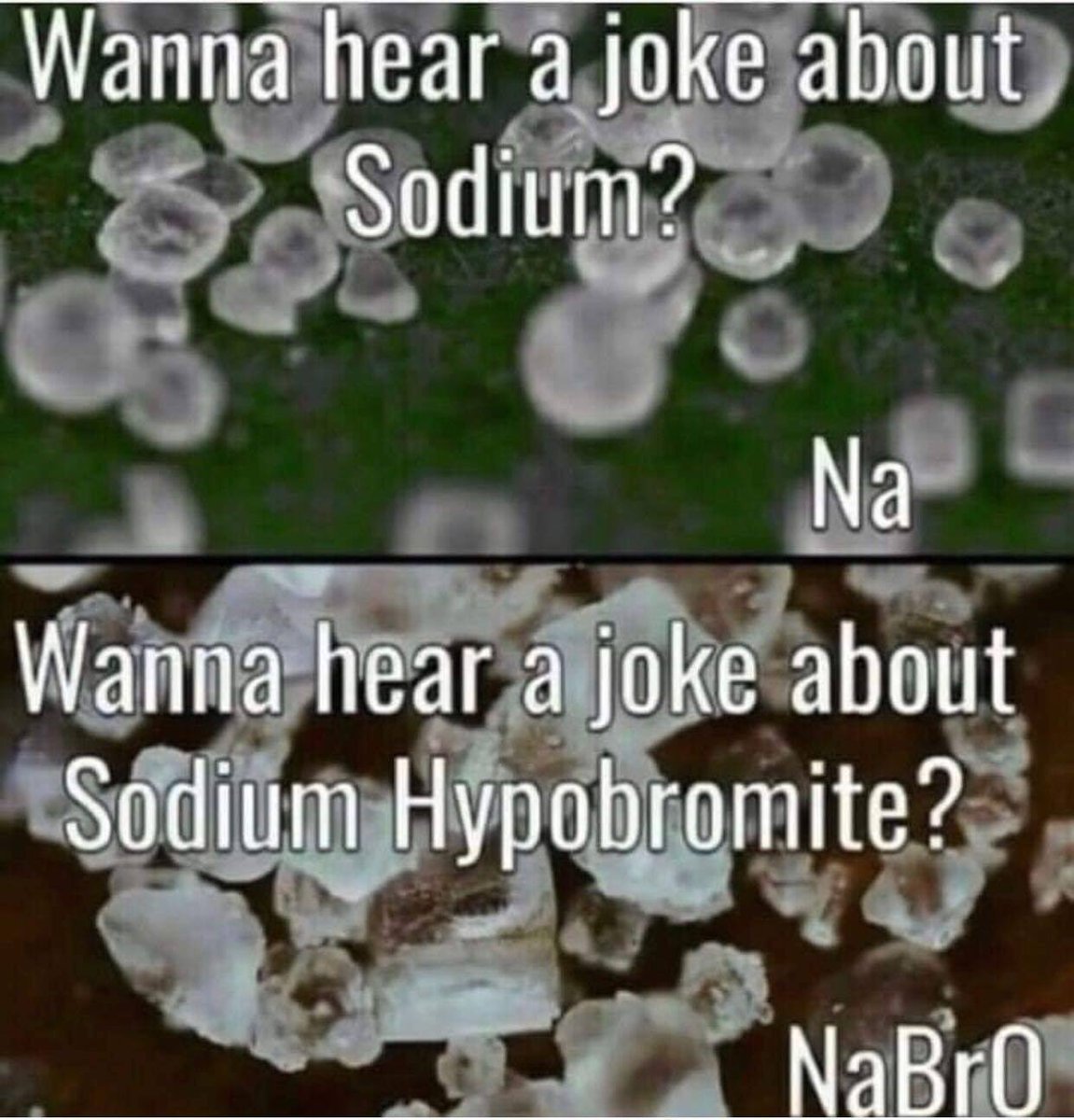 Pebblepenguin's tweet photo. Saw this and thought of you!
@stldscience https://t.co/zH1utnOd7Q