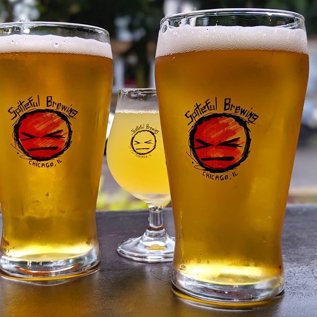 ChicagoBeerPass's tweet photo. Grabbing some beers at @spitefulbrewing! That little guy hiding in the back is their radler. 🤪
.
.
#chicagobeer #drinklocal #craftbeer #beerphotography #drinklocalbeer #chicagobeerpass #chicago #beeradventures #beerogram #beer30 #beeroclock #beerever… https://t.co/GT5sMguwfY https://t.co/27NKFh4f9S