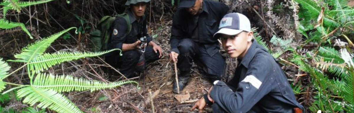 ConserveWildCat's tweet photo. In Sumatra's Bengkulu National Park and its adjacent forests we work to reduce poaching threats through strong practical collaboration between local and national governments, religious leaders, educators and forest-edge communities. #rightthingfortigers https://t.co/Bi95RT0ZdU https://t.co/UzSzRyf8z0