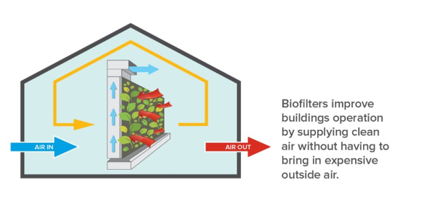 HIXAGroup's tweet photo. Not just #planet on #walls
#نباتات #الجدران #الخضراء
 #air #quality #control with #green #Biofilters #walls 
: Growing Clean #Air &amp; #Energy Savings

المرشحات #الزراعية #للجداران: توفر #هواء نظيف و #طاقة متنامية عبر #تكيف #المبنى
#HVAC #system

#جمال #زراعة
#GREEN_BUILDINGS
#LEED https://t.co/zj7a2cUaKV