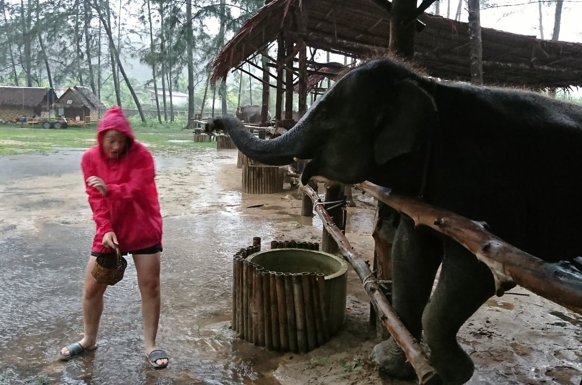 Siddal Moor Thailand tweet media