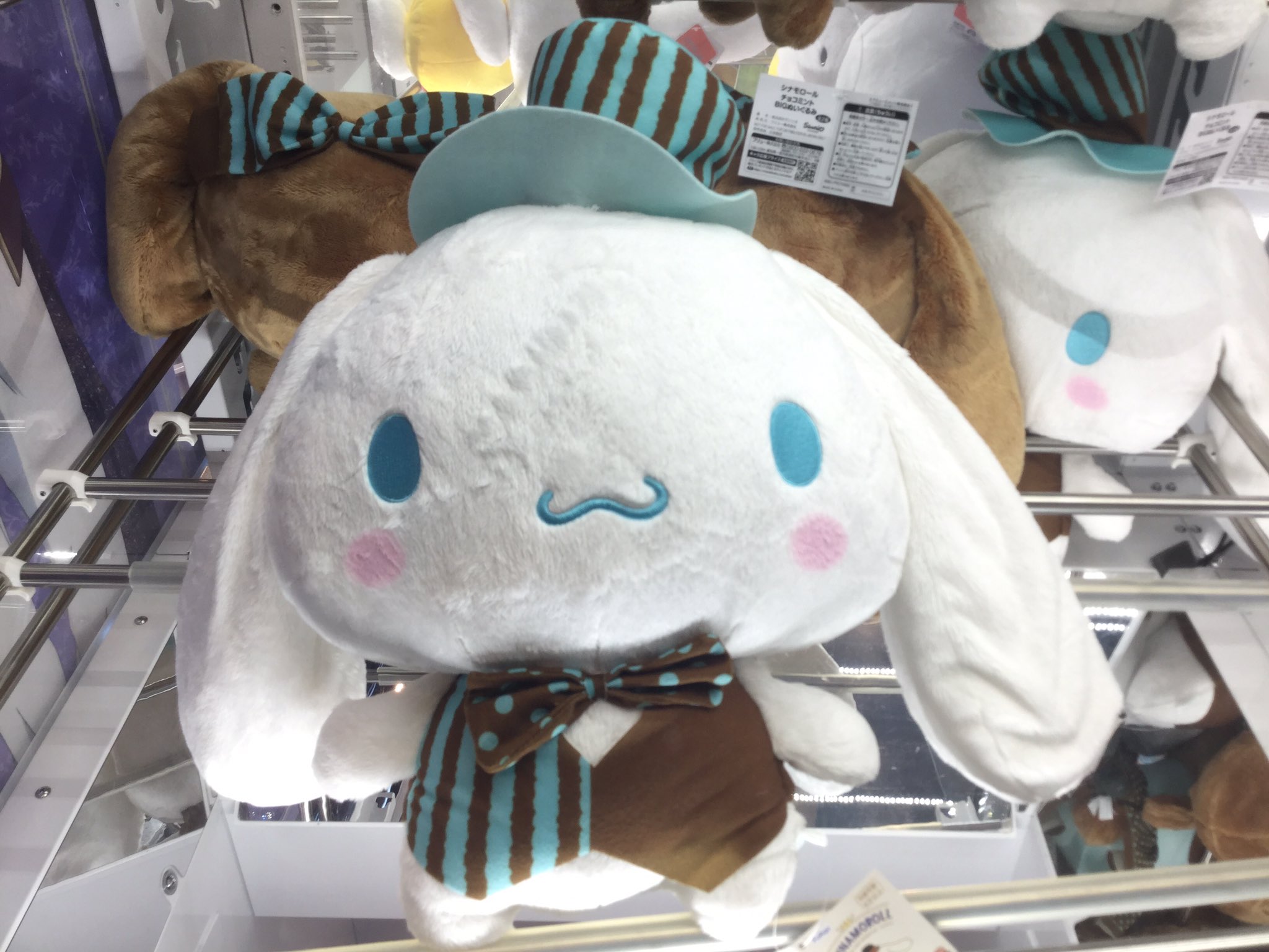 Twitter 上的 Gigo 赤羽 景品情報 シナモロール チョコミントbigぬいぐるみ 爽やかなチョコミントイメージの衣装を着たシナモンとモカのキュートなぬいぐるみが展開 セガ限定のかわいいぬいぐるみをお見逃しなく セガ赤羽 Sega セガ赤羽駅前 セガ限定