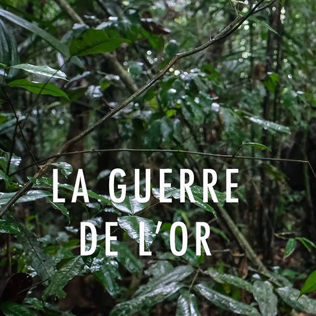 Reportage - La guerre de l'or ⁠
⁠
 En Guyane française, l’exploitation illégale de l’or prospère depuis des décennies. Alimentée par des travailleurs clandestins du Suriname et du Brésil voisins, cette entreprise criminelle a atteint des proportions … ift.tt/2xQ8xwQ