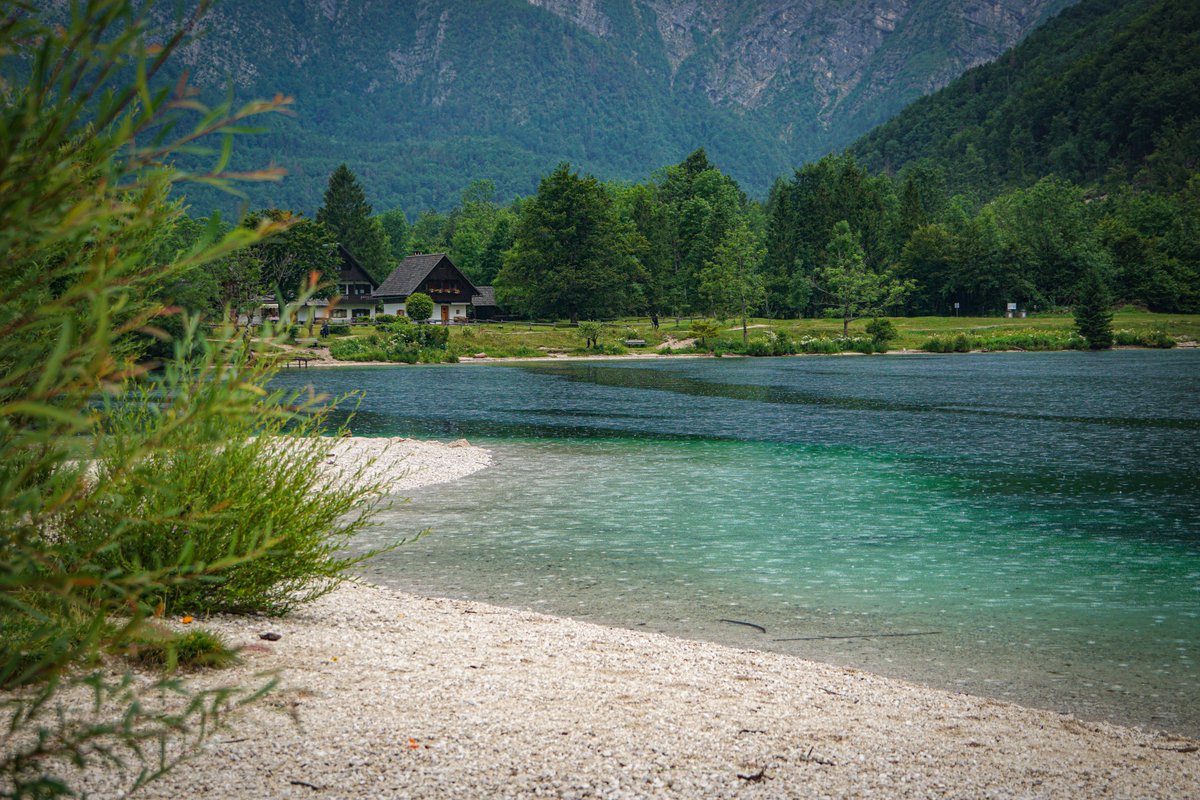 EkaterinaRincon's tweet photo. Oh, such a rainy day, I am glad I shared it with you (с)
#slovenia #logarska #bohine https://t.co/Haq2NfMm24