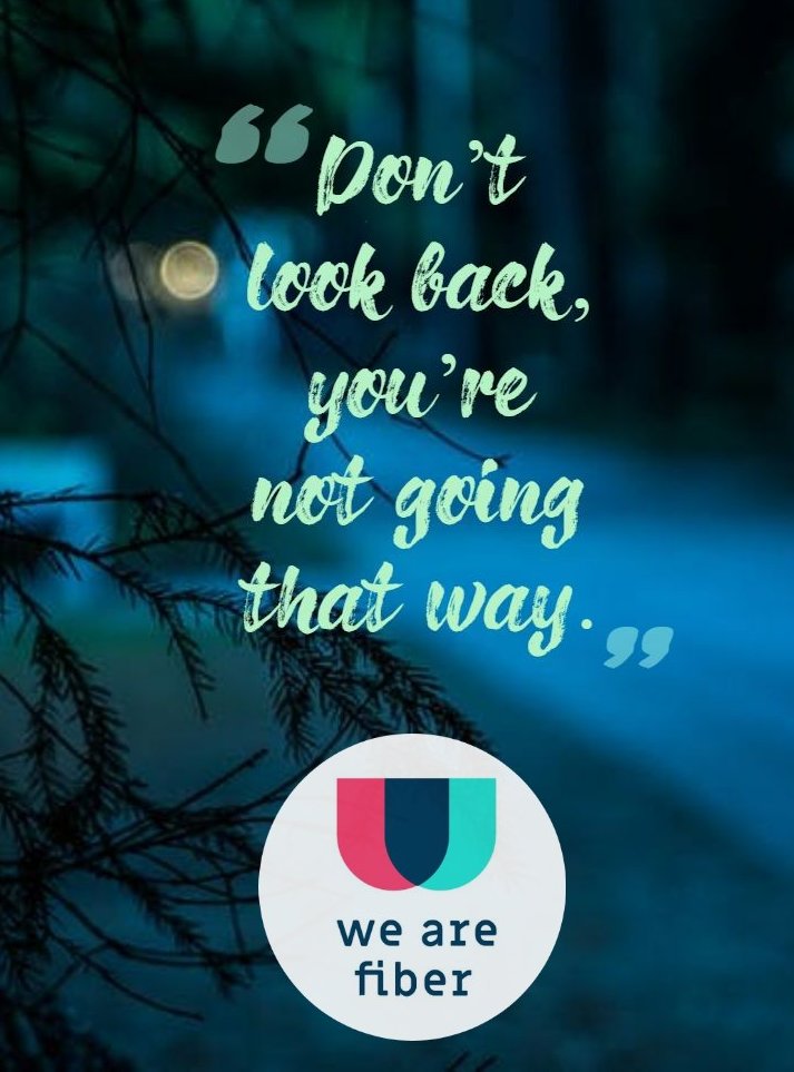 We Are Fiber tweet media