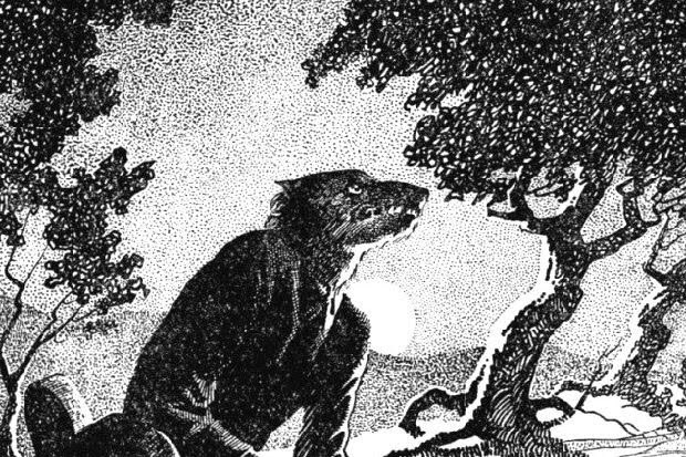 WTP Paranormal 👻🐲👽 tweet media