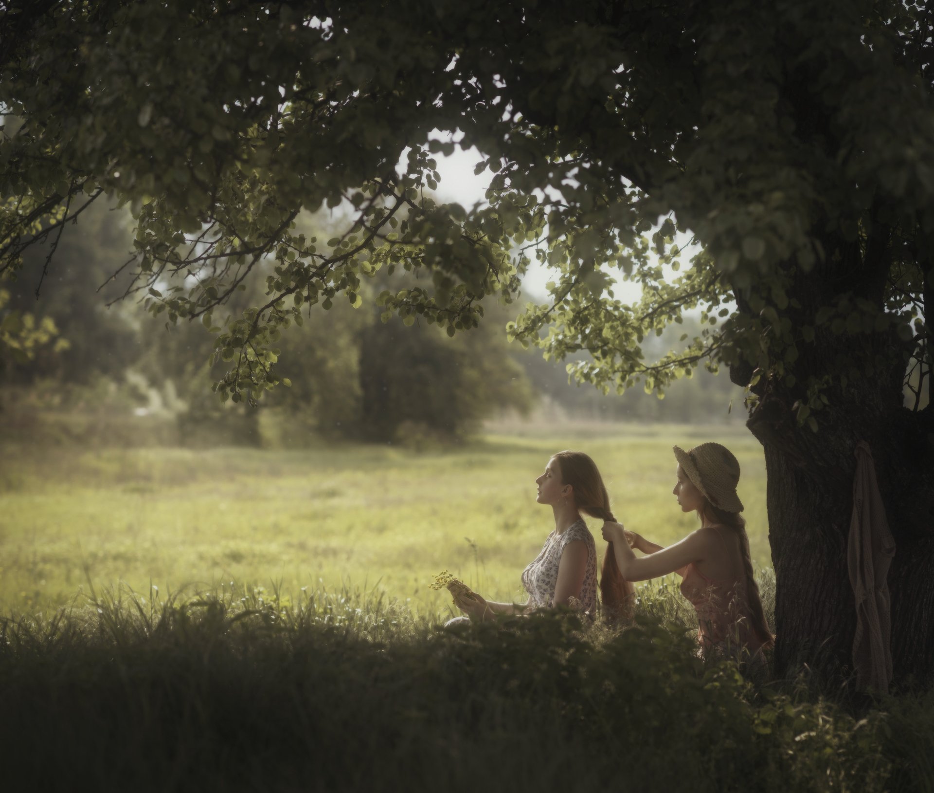 давид дубницкий