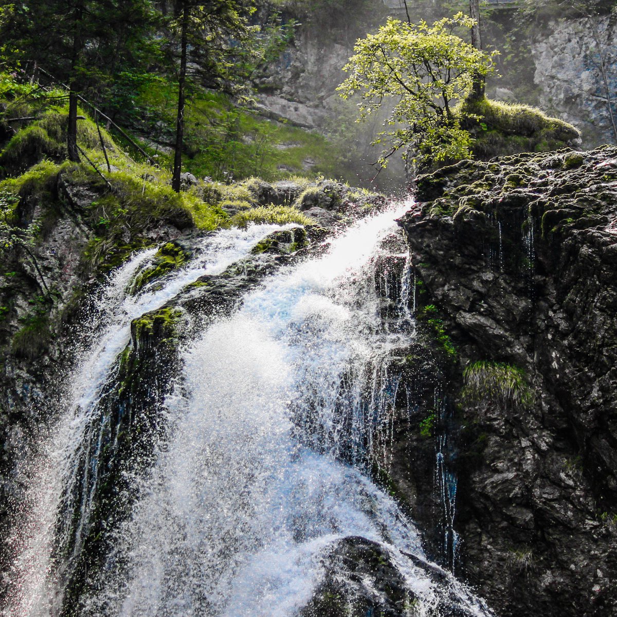 DeluxeteaC's tweet photo. Morning and the beauty of Golling near Salzburg.
#teetrinken #teaworld #teewelt #teeliebe #tealove #deluxetea #ichliebetee #ilovetea #deluxeteaclub #teasubscription #teeabo #tealover #teeliebhaber #morningtea #morgentee #teahealth #gesundtrinken #sipbysip #Golling #Salzburg https://t.co/Sw1IyJhfgQ