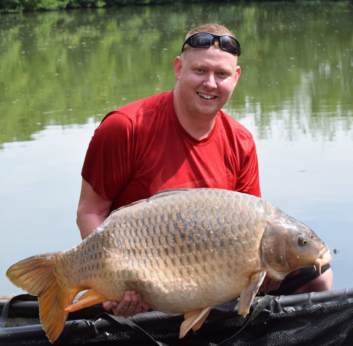 CarpInvasion's tweet photo. Ian Manning has had 21 fish so far ,all caught on fruit infusion, top angling 👍
25lb mirror, 35lb mirror, 33lb grass, 26lb grass,  45lb ghost ronnie, 3lb common gone in to stock pond, 39lb mirror, 31lb5oz mirror,  41lb mirror. https://t.co/enXwpqpbUz