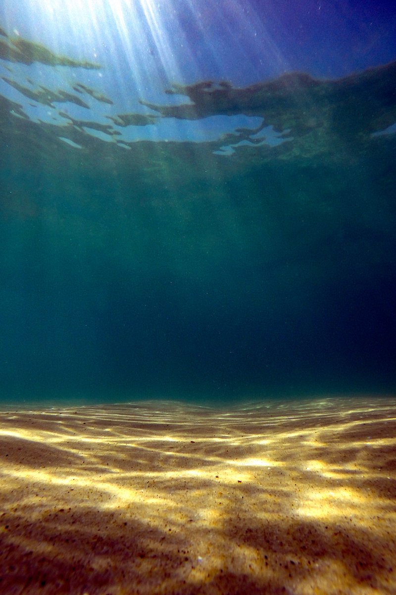 Clems_Philippon's tweet photo. 💦 Under the surface ✌️
#surf #aquashoot #ocean #vsco #sun #surfpics #sunrise #bubbles #photographerfocus #lineup #oceanesque #france #natgeo #savetheoceans #capferret #surfing #estheticlabel #summer #plage #gironde #surface #nouvelleaquitaine #bassindarcachon #gopro #sand https://t.co/IeXbkEk0ZR