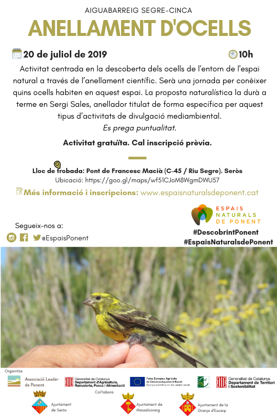 SegriaCultura's tweet photo. ANELLAMENT D'OCELLS
Activitat centrada en la descoberta d'ocells de l'entorn de l'espai natural a travès de l'anellament científic
Activitat gratuïta amb inscripció
➡️20 de juliol - 10 h
Més info: https://t.co/ZIfptQe18e
#SegriaCultura #TerardePonent https://t.co/bOQJp5JftP