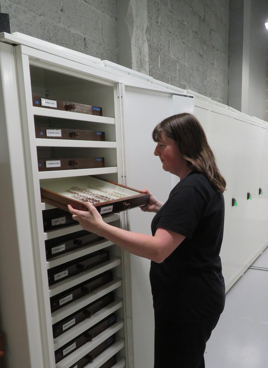 PaisleyMuseum's tweet photo. Dr. Susan Beardmore, John Ellerman Project Curator (NMS) visited the Secret Collection for a 2-day, whistle-stop tour of the natural science collections. Her role to produce a โstate of the nationโ report on the many & various natural science collections held throughout Scotland. https://t.co/OXEhy21NI7