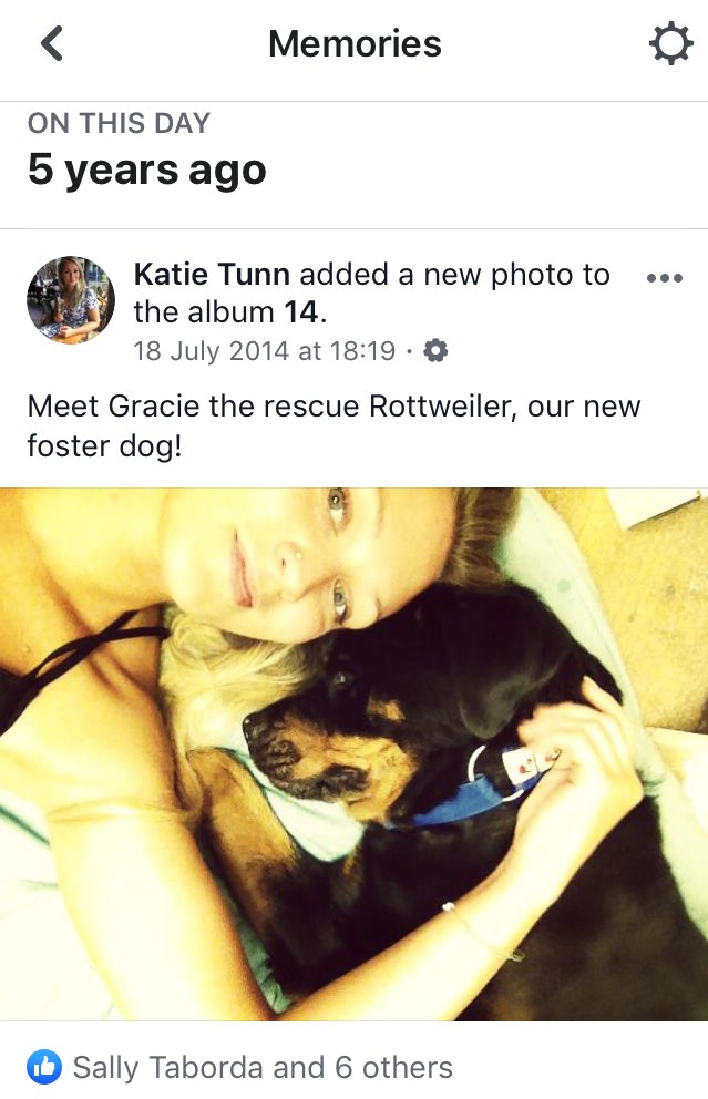 Katie__Eden's tweet image. According to Facebook Memories this morning, there’s something that keeps happening at exactly this time of year!
🐕🐕🐕
#signsofweakness
#watchoutforjuly 
#AdoptDontShop