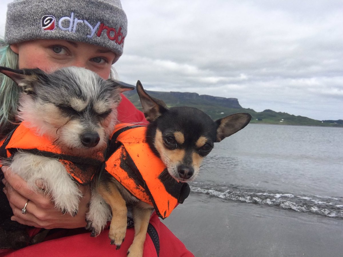 Katie__Eden's tweet image. According to Facebook Memories this morning, there’s something that keeps happening at exactly this time of year!
🐕🐕🐕
#signsofweakness
#watchoutforjuly 
#AdoptDontShop