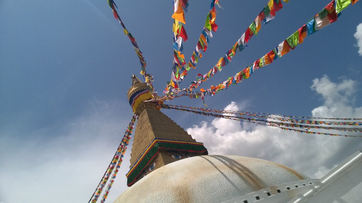 Alan Holmes tweet media